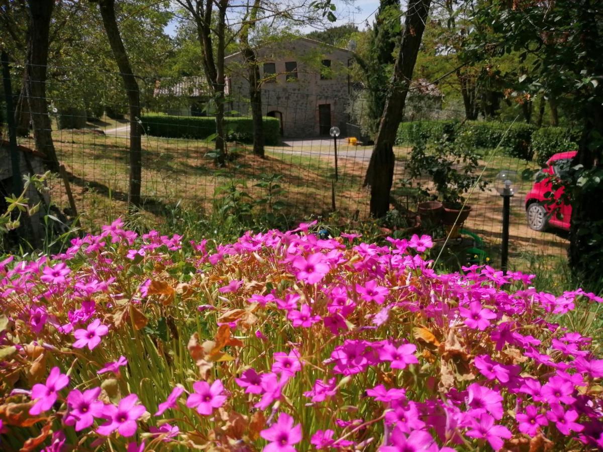 Agriturismo Il Cornalino Castel Viscardo Eksteriør bilde