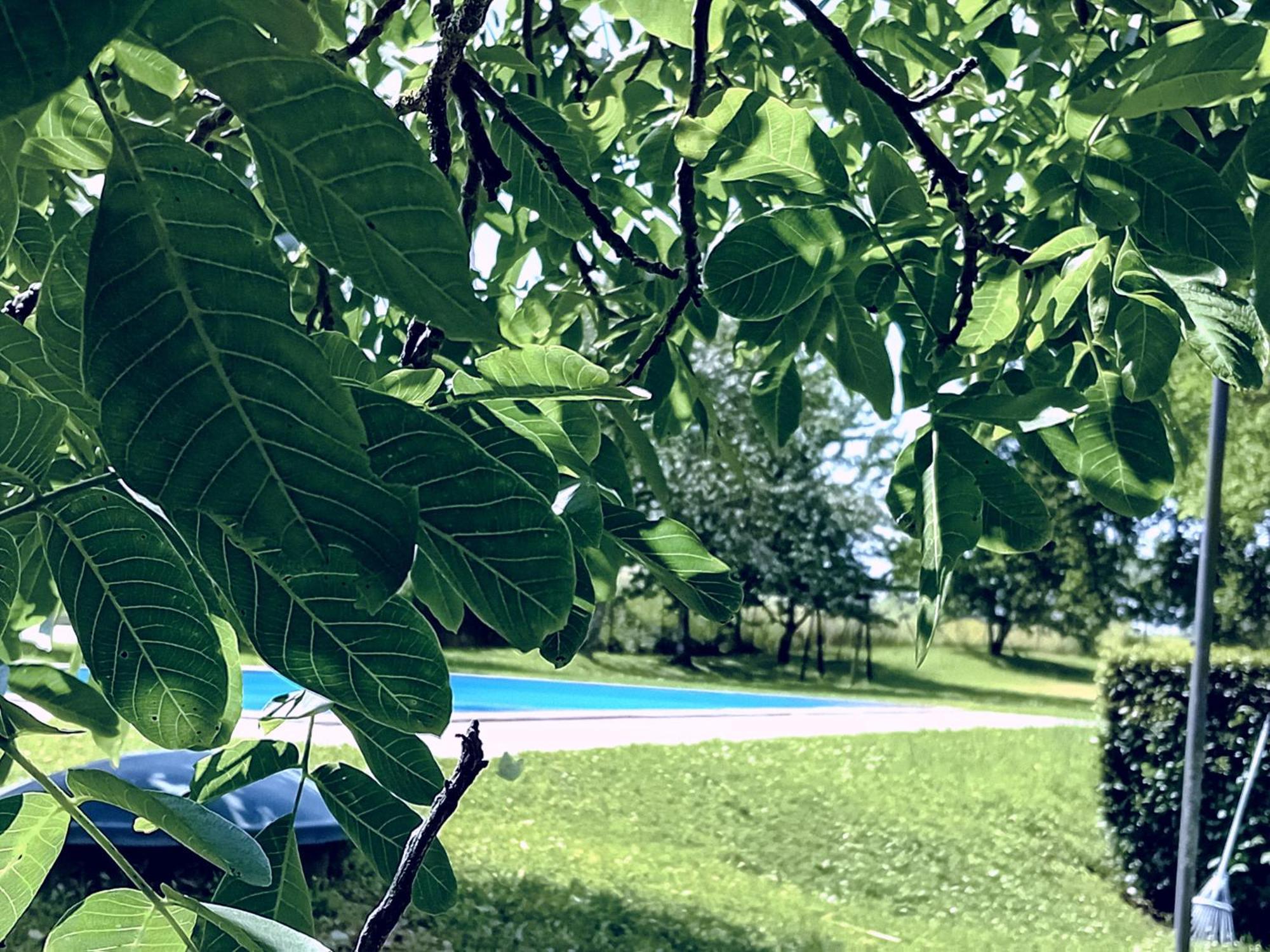 Agriturismo Il Cornalino Castel Viscardo Eksteriør bilde