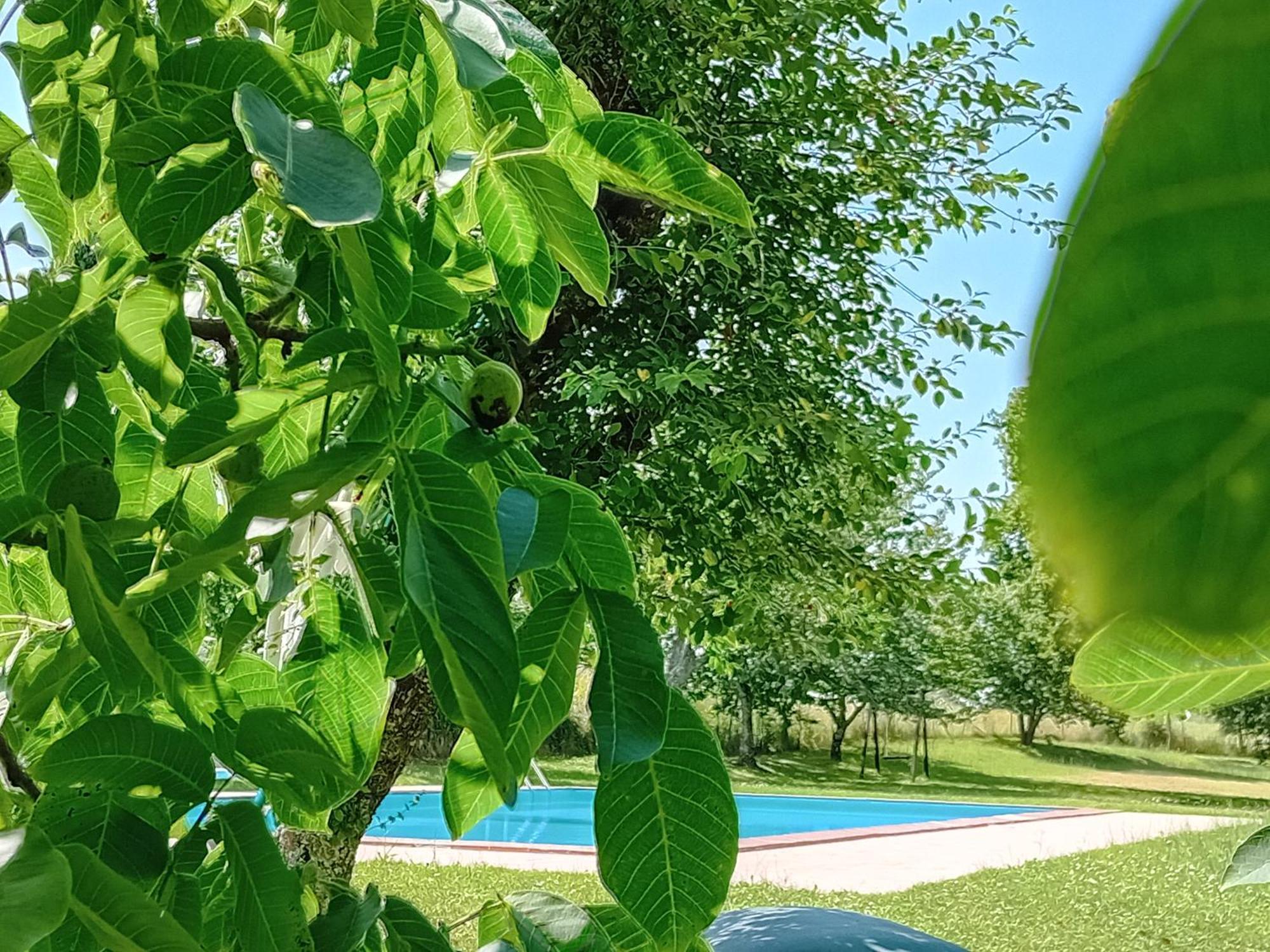 Agriturismo Il Cornalino Castel Viscardo Eksteriør bilde