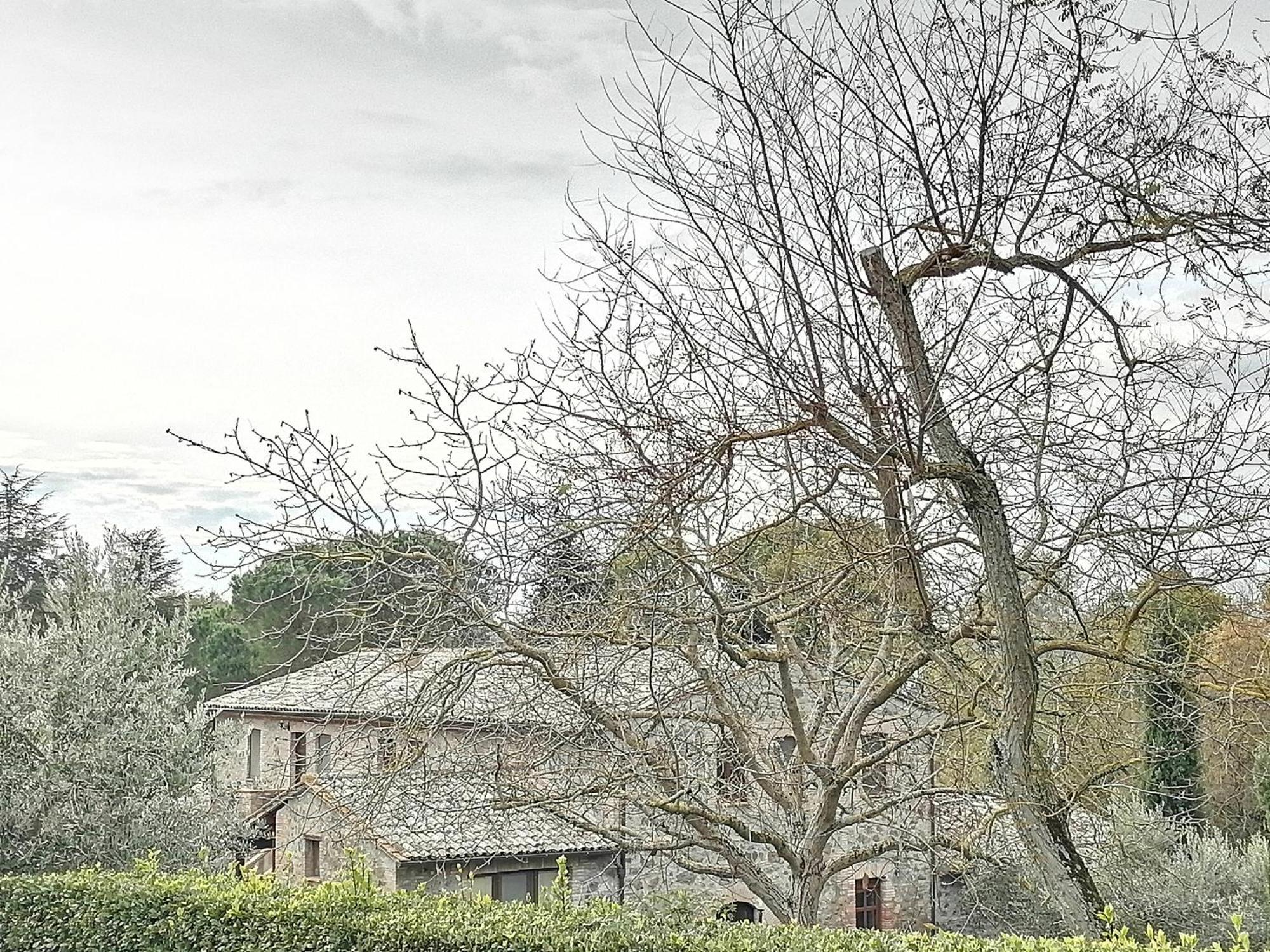 Agriturismo Il Cornalino Castel Viscardo Eksteriør bilde