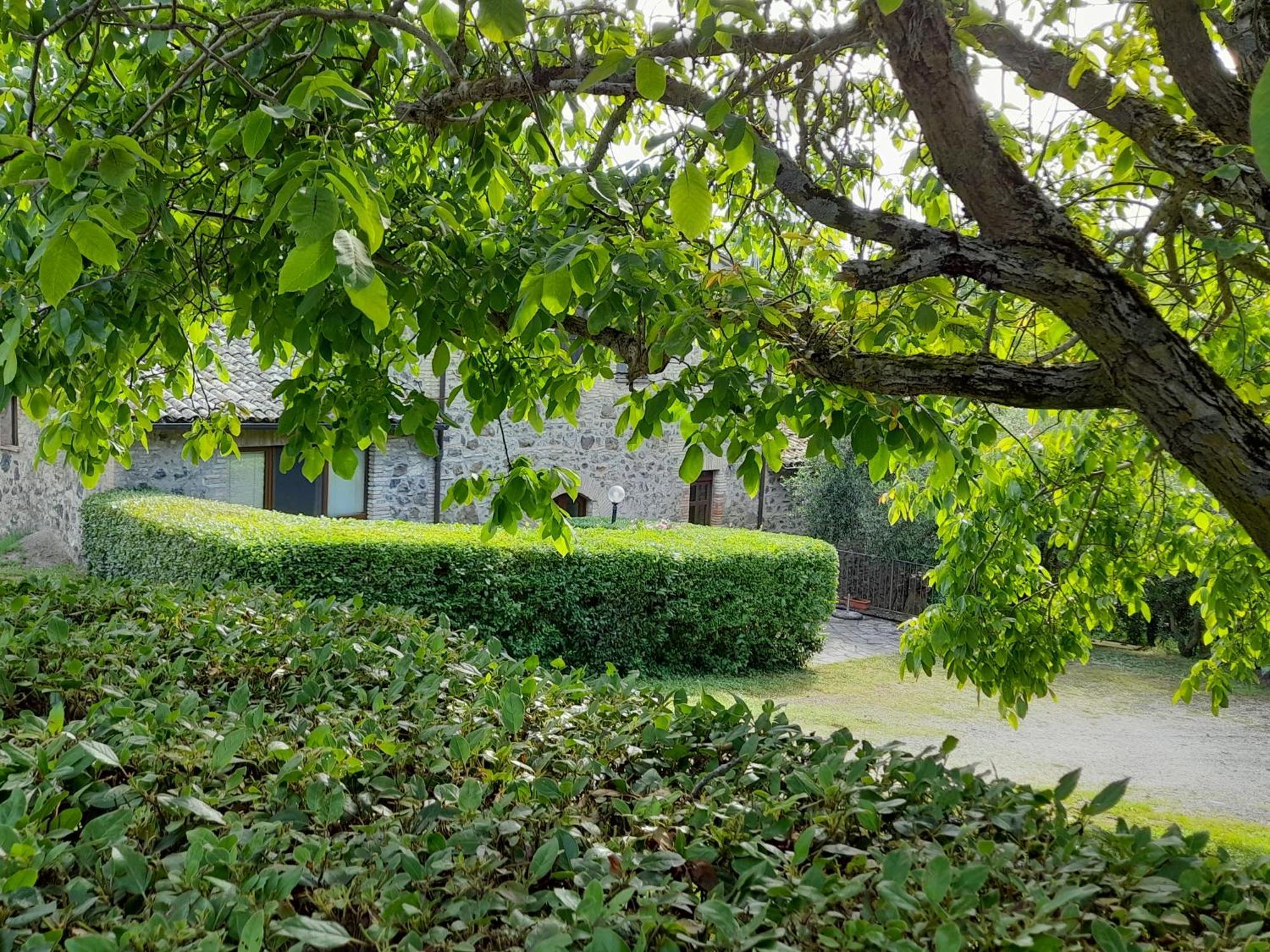 Agriturismo Il Cornalino Castel Viscardo Eksteriør bilde