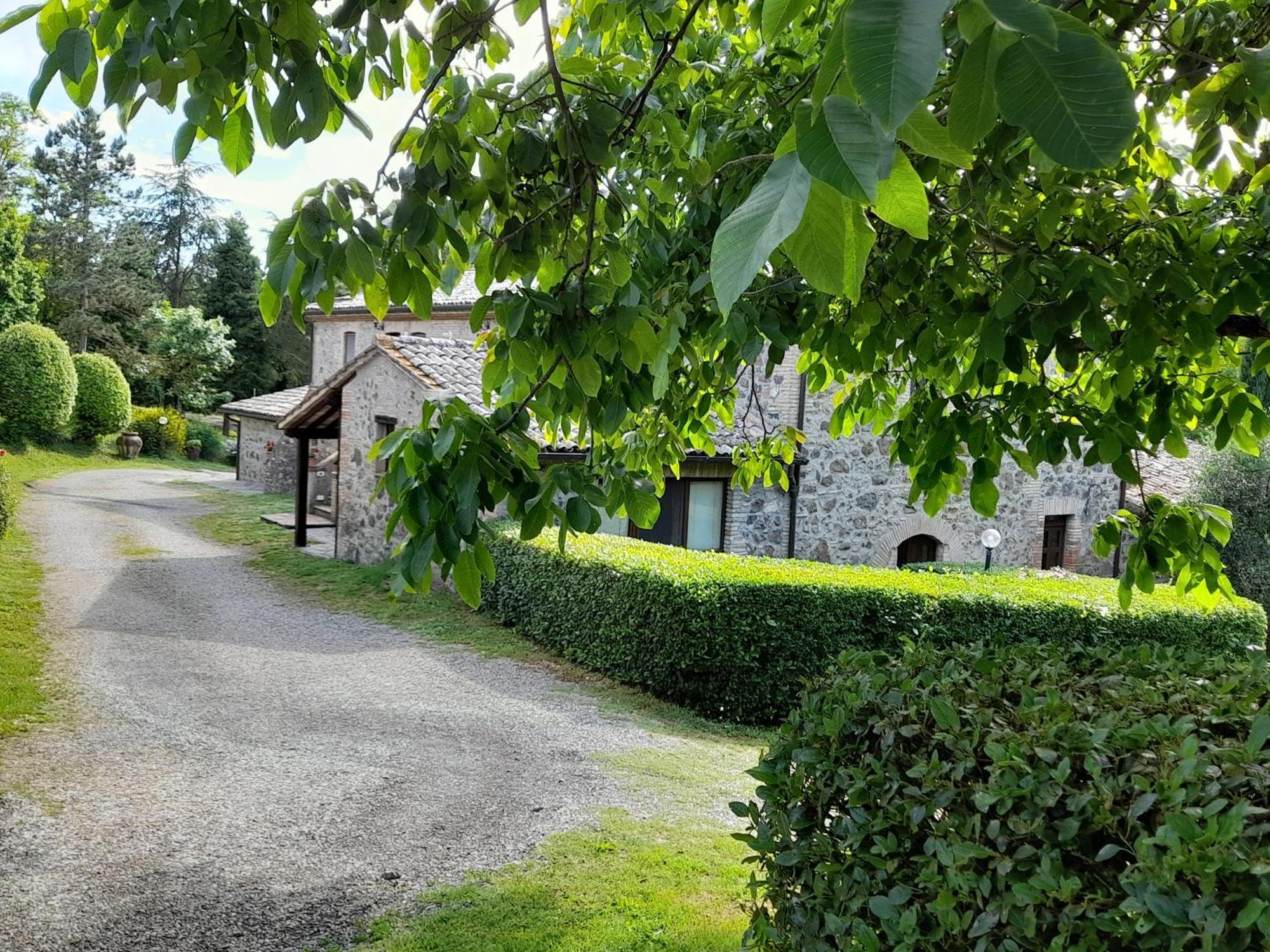 Agriturismo Il Cornalino Castel Viscardo Eksteriør bilde