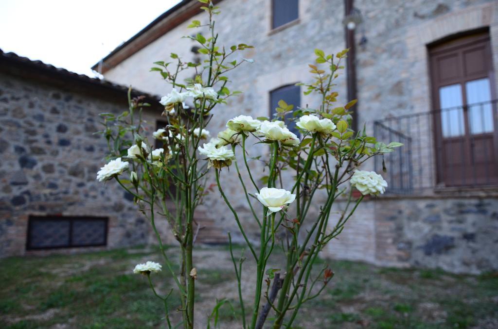 Agriturismo Il Cornalino Castel Viscardo Eksteriør bilde