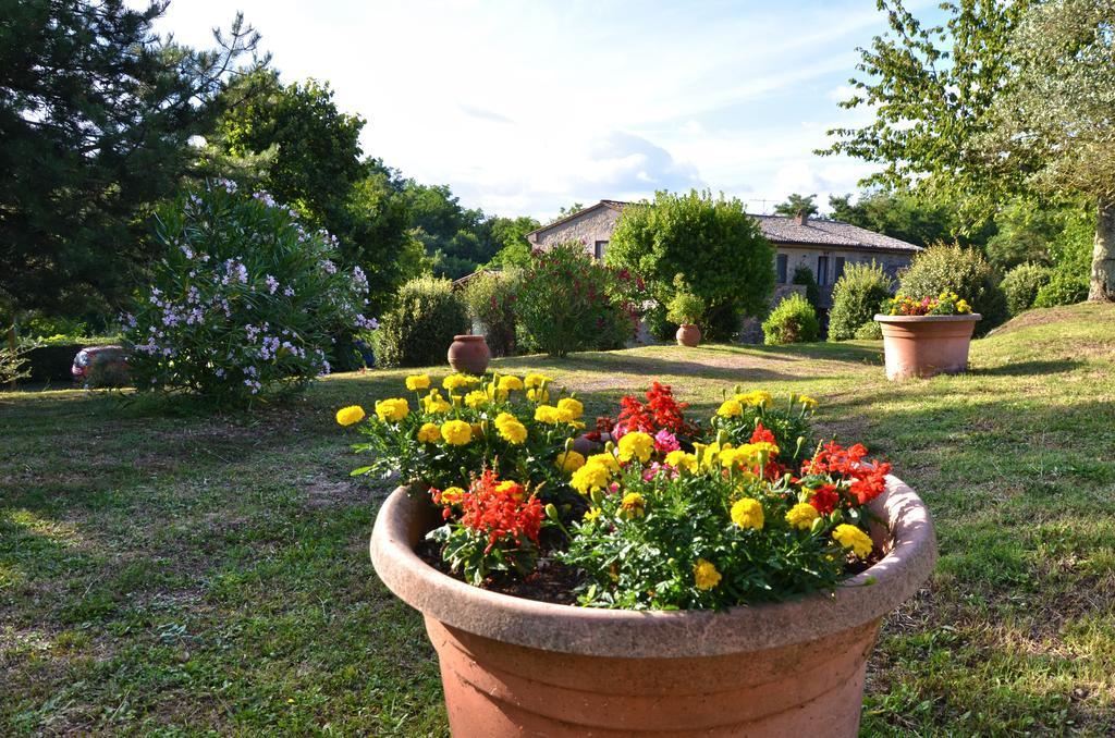 Agriturismo Il Cornalino Castel Viscardo Eksteriør bilde